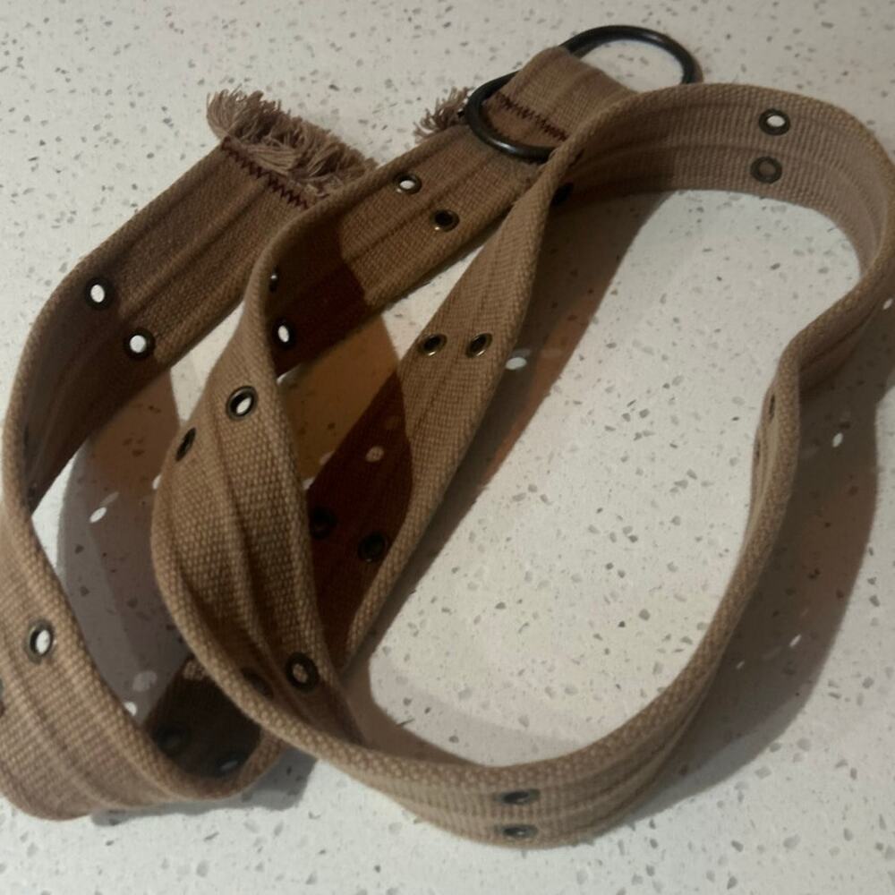 Belt Canvas Rivet Tan - Picture 2 of 8